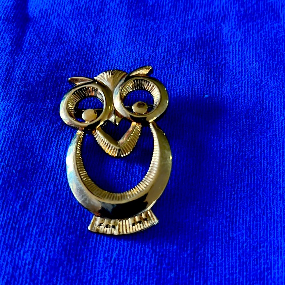 Brooch pin